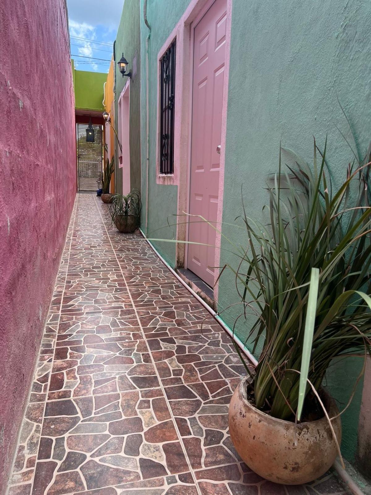 巴利亚多利德Casa Xtabay公寓 外观 照片
